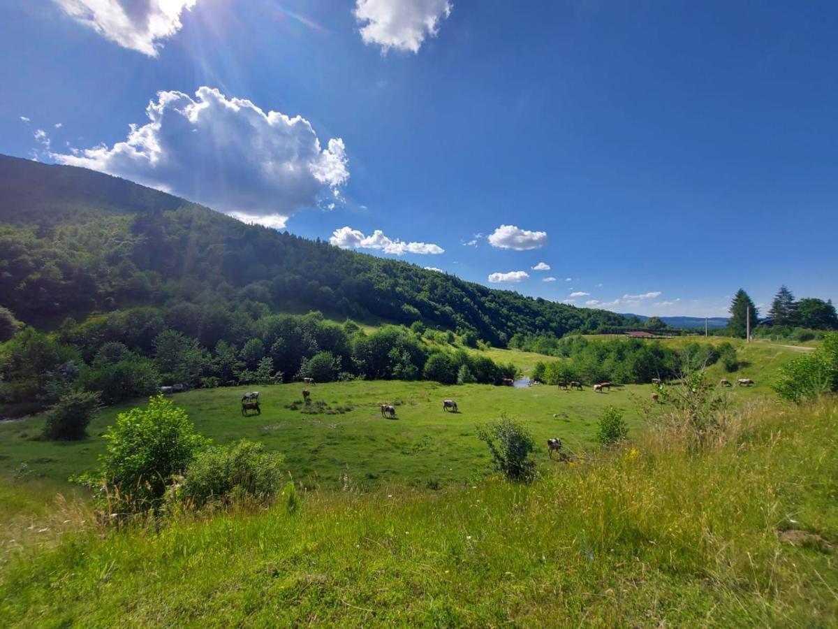Casuta Din Rusca Sebesu de Jos Exterior foto