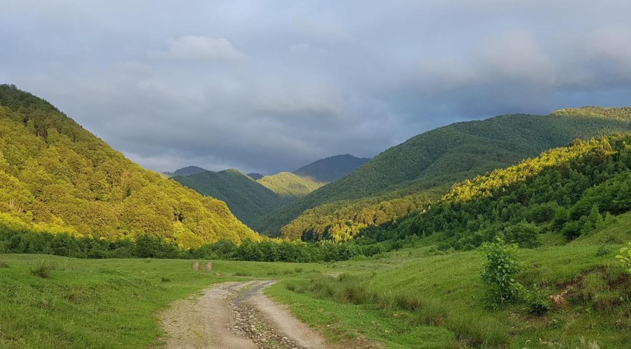 Casuta Din Rusca Sebesu de Jos Exterior foto