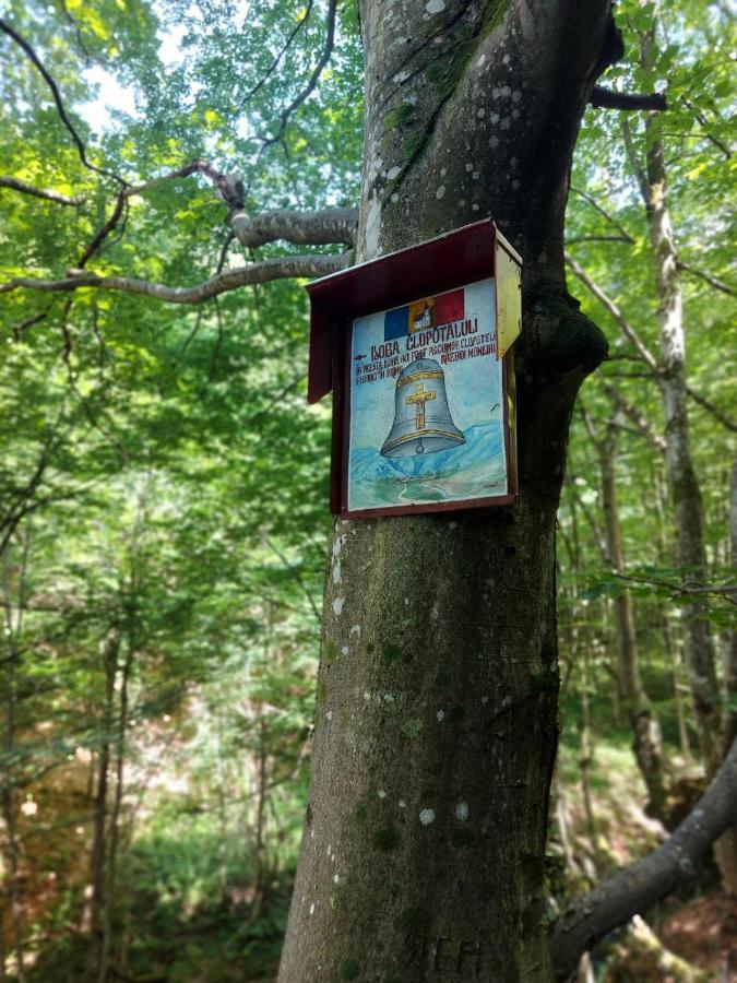 Casuta Din Rusca Sebesu de Jos Exterior foto